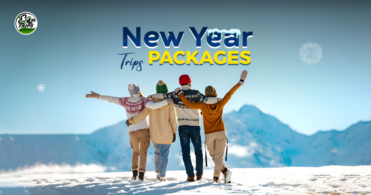 New Year trips from Delhi